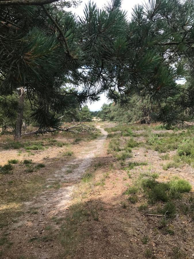 Boshuisje Veluwe Mels Place Doornspijk Zewnętrze zdjęcie